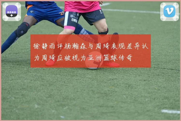 徐静雨评杨瀚森与周琦表现差异认为周琦应被视为亚洲篮球传奇