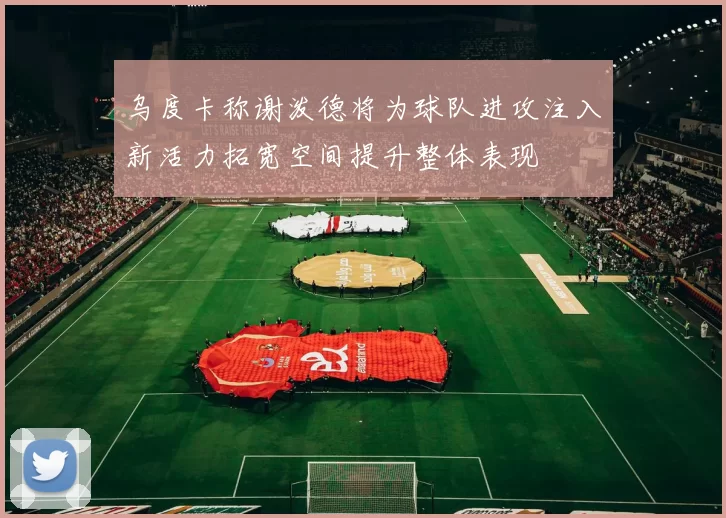 乌度卡称谢泼德将为球队进攻注入新活力拓宽空间提升整体表现