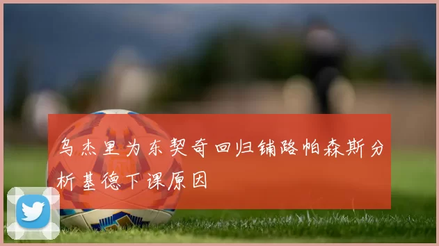 乌杰里为东契奇回归铺路帕森斯分析基德下课原因